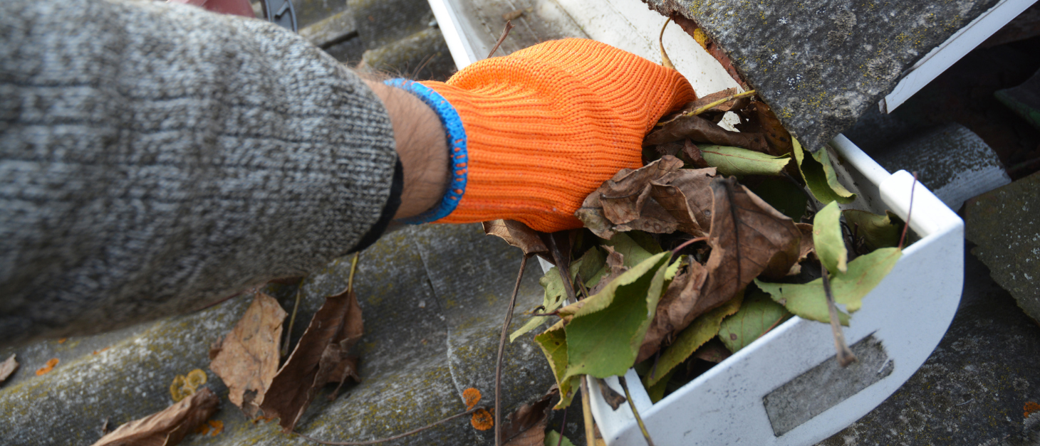 Top 5 Signs Your Gutters Need Cleaning and Maintenance